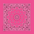 Domestic Fuchsia Pink Paisley Bandanna